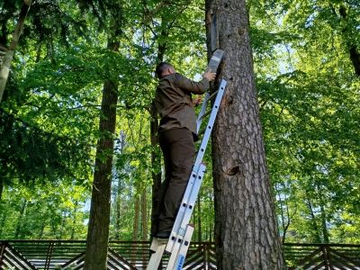 Przegląd barci znajdującej się przy siedzibie nadleśnictwa- fot. Joanna Jadeszko