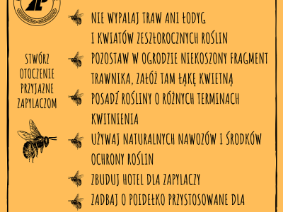 Infografika LP