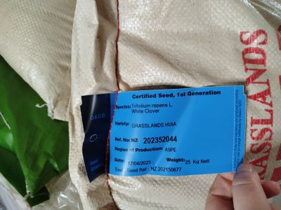 Wysiano nasiona koniczyny białej, inkarnatki i szwedzkiej- fot. Joanna Jadeszko