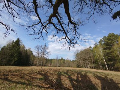 Odbiór prac związanych z rekultywacją łąk kwietnych w Nadleśnictwie Augustów- fot. Joanna Jadeszko