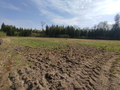 Odbiór prac związanych z rekultywacją łąk kwietnych w Nadleśnictwie Augustów- fot. Joanna Jadeszko