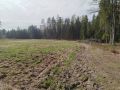 Odbiór prac związanych z rekultywacją łąk kwietnych w Nadleśnictwie Augustów- fot. Joanna Jadeszko