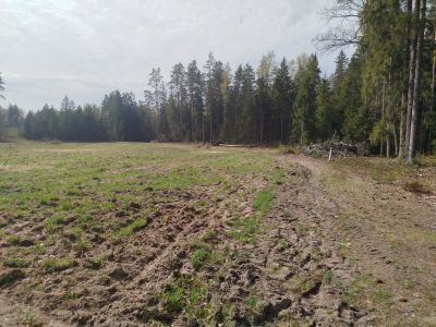 Odbiór prac związanych z rekultywacją łąk kwietnych w Nadleśnictwie Augustów- fot. Joanna Jadeszko