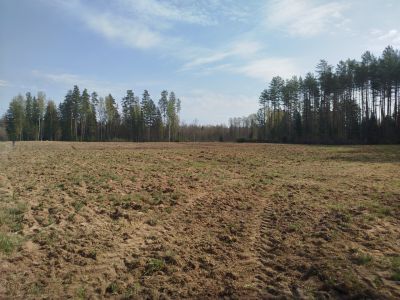 Odbiór prac związanych z rekultywacją łąk kwietnych w Nadleśnictwie Augustów- fot. Joanna Jadeszko