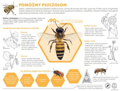 Pomóżmy pszczołom Inforgrafika LP