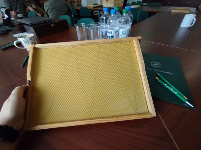 img 20250724 095949