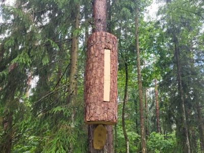 fot. Nadleśnictwo Szczebra