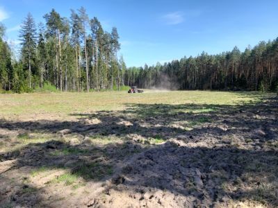 fot. Nadleśnictwo Augustów