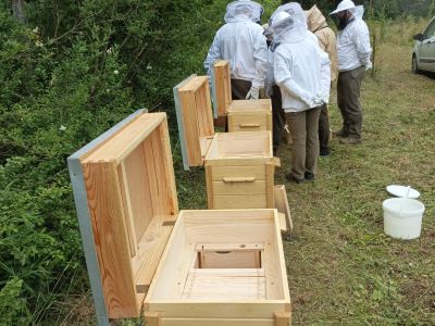 Przygotowania do wsiedlania pszczół- fot. Joanna Jadeszko