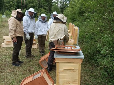Leśnicy-pszczelarze przy jednej z mini pasiek- fot. Adam Sieńko