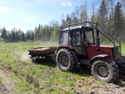 Siew wapna- fot. Nadleśnictwo Augustów