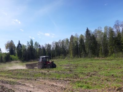 fot. Nadleśnictwo Augustów
