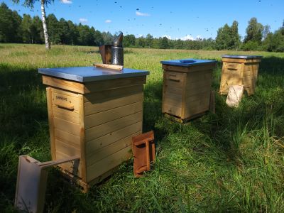 Ule przygotowane do wsiedlenia pszczoły- fot. Adam Sieńko