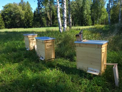 Jedna z minipasiek ustawiona w pobliżu łąk kwietnych- fot. Adam Sieńko