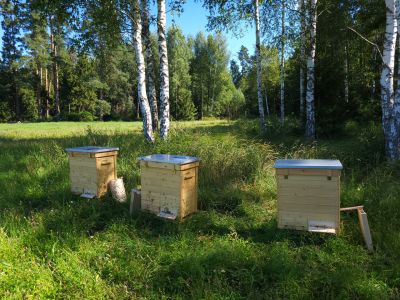 Jedna z minipasiek - fot. Adam Sieńko