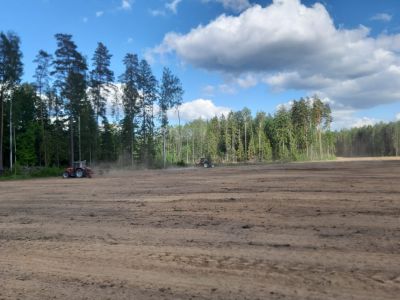W Nadleśnictwie Augustów powstało 15 ha łąk kwietnych- fot. Nadleśnictwo Augustów
