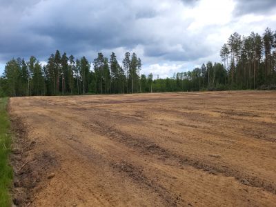 fot. Nadleśnictwo Augustów