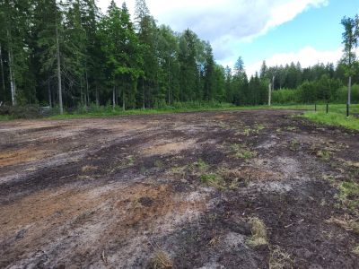 fot. Nadleśnictwo Augustów