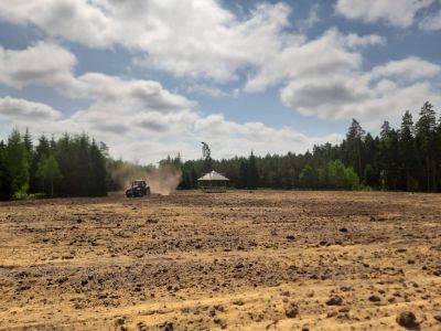Jedno z miejsc, na których wysiano nasiona roślin miododajnych- fot. Nadleśnictwo Augustów