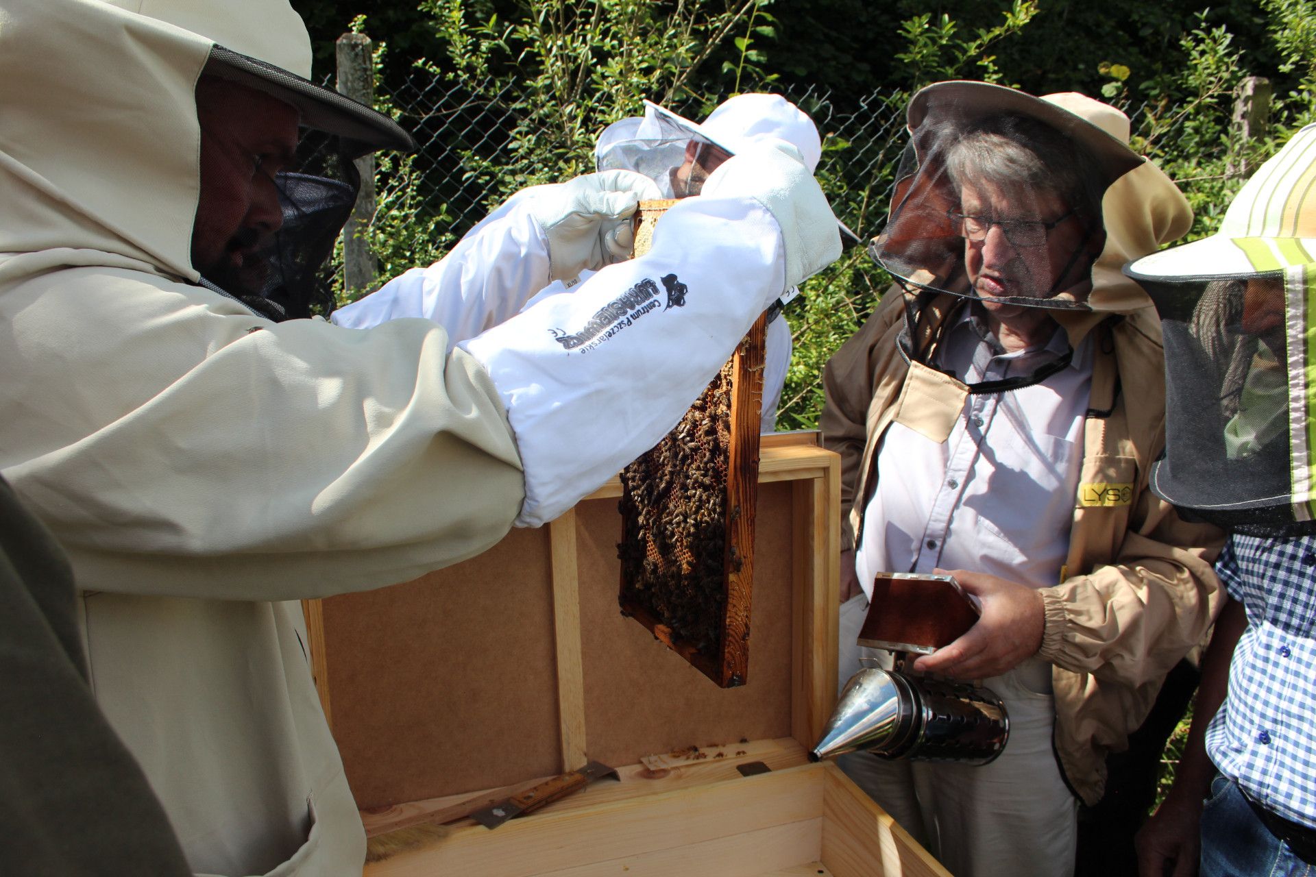 Przegląd ula pod okiem doświadczonego pszczelarza- fot. Joanna Hołubowicz