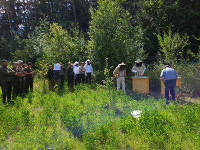 Warsztaty pszczelarskie w Nadleśnictwie Szczebra- fot. Adam Sieńko