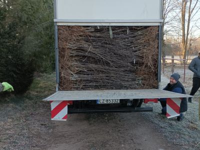 Transport sadzonek drzew owocowych- fot. Joanna Jadeszko