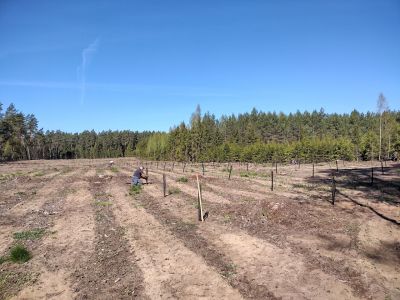 fot. Joanna Harmuszkiewicz