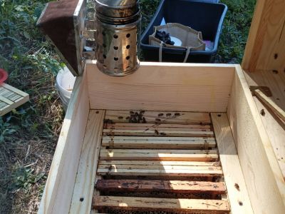 Praca podczas poboru prób była bardzo ciekawa i nietypowa- fot. Joanna Jadeszko