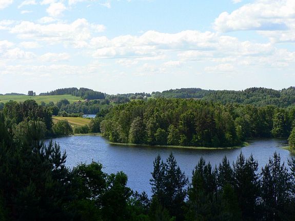 Widok ze wzgórza Ladakalnis w Auksztockim Parku Narodowym_wikipedia.pl
